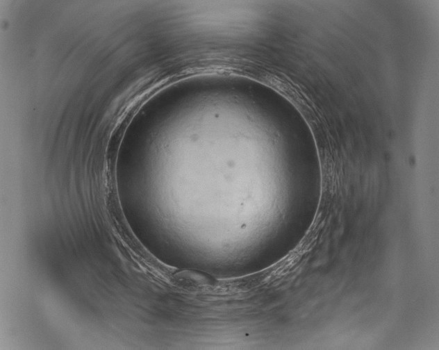 X0000068740338200605051457