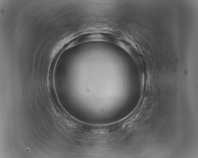 X0000068740340200605051457