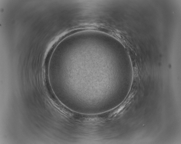 X0000068740342200605051457