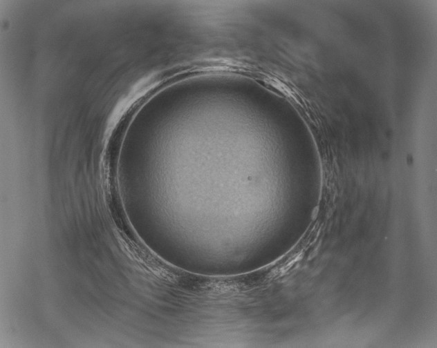 X0000068740343200605051457