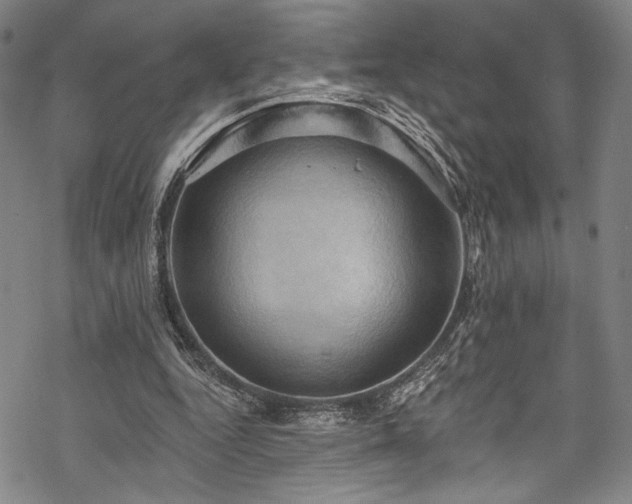 X0000068740344200605051457