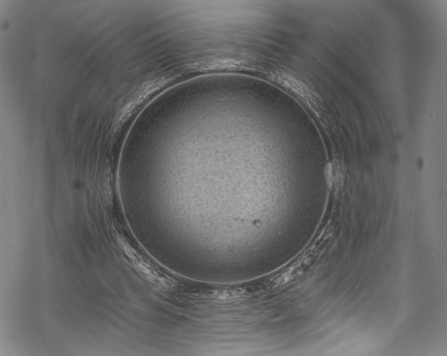 X0000068740345200605051457