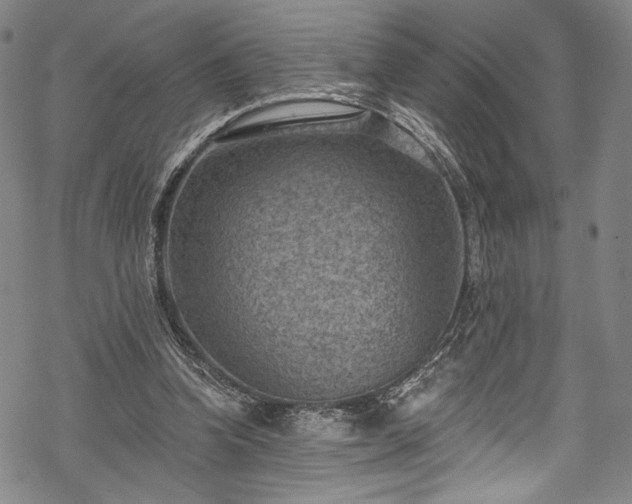 X0000068740346200605051457