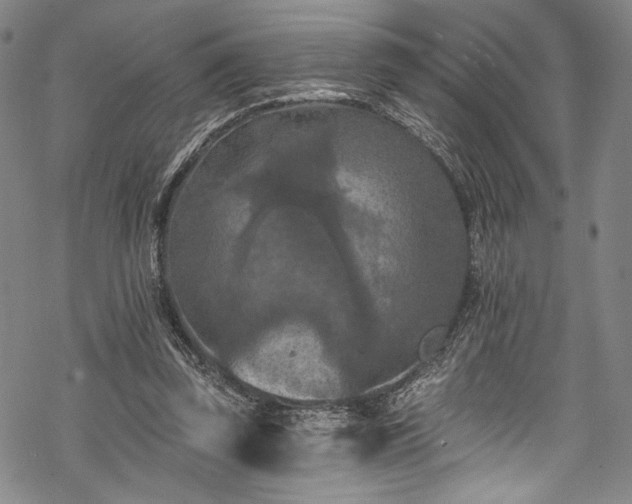 X0000068740347200605051457