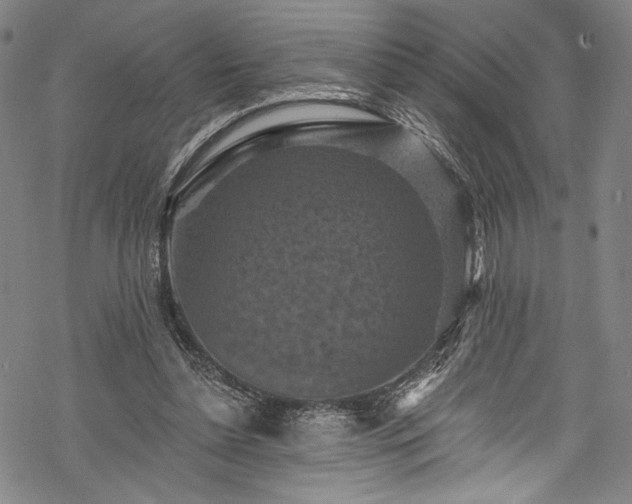 X0000068740348200605051457