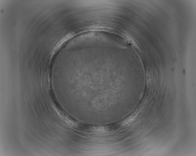 X0000068740349200605051457