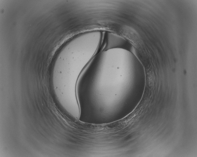 X0000068740350200605051457