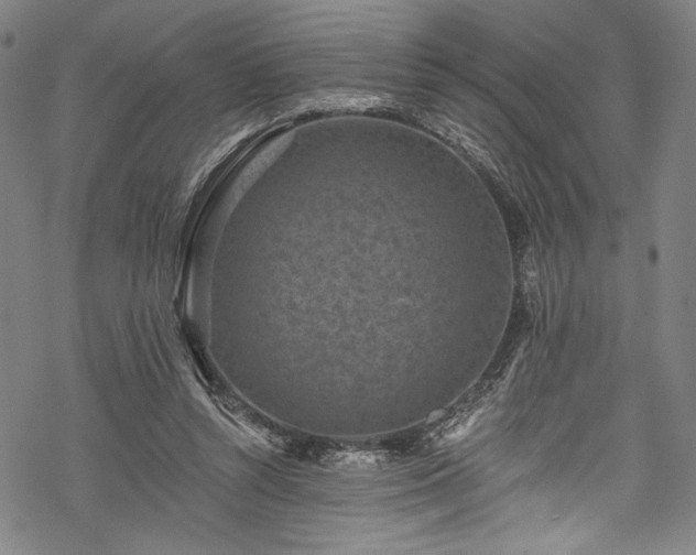 X0000068740352200605051457