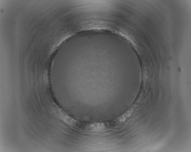 X0000068740353200605051457