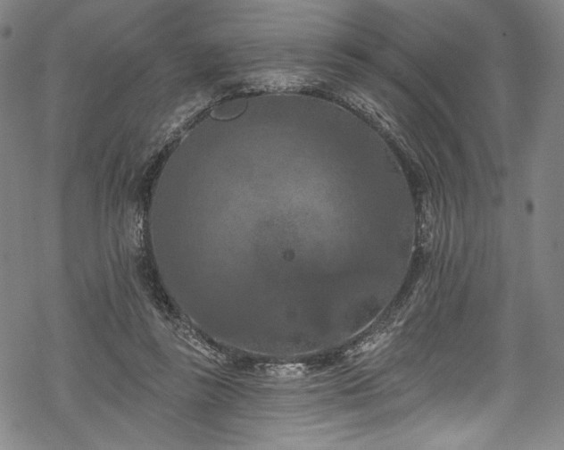 X0000068740355200605051457