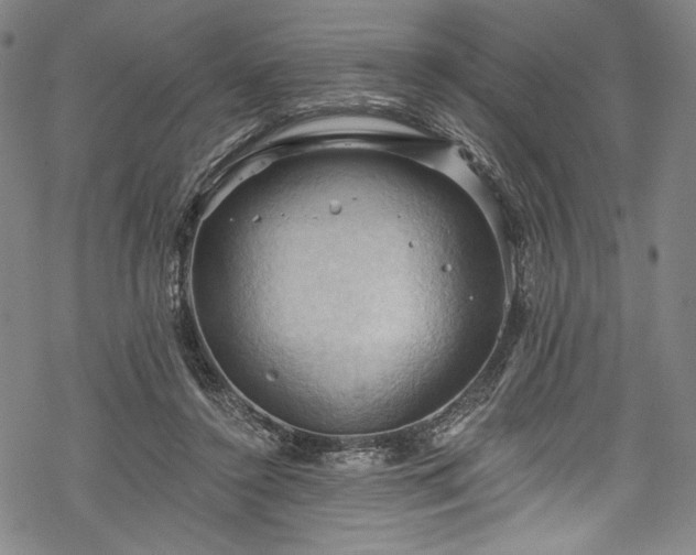 X0000068740356200605051457