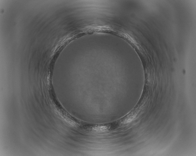 X0000068740357200605051457