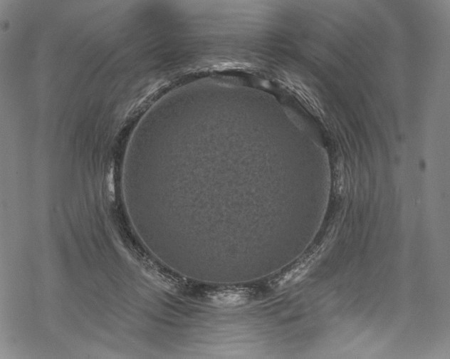 X0000068740358200605051457