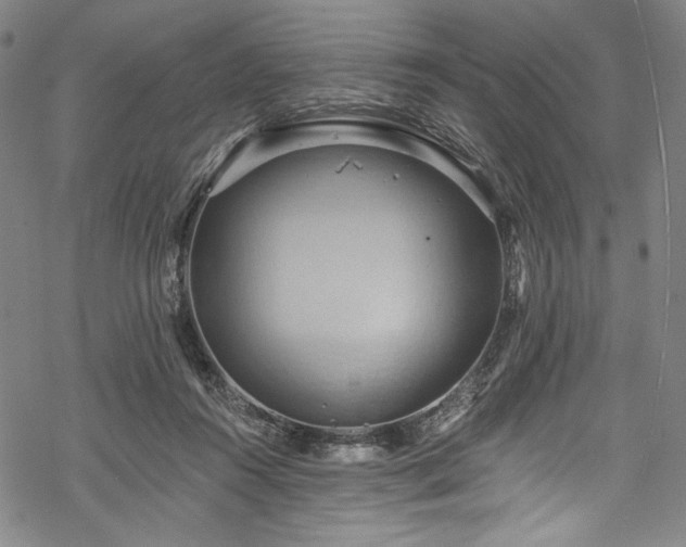 X0000068740360200605051457