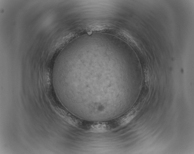 X0000068740362200605051457