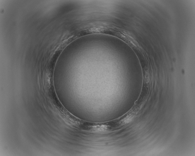 X0000068740363200605051457