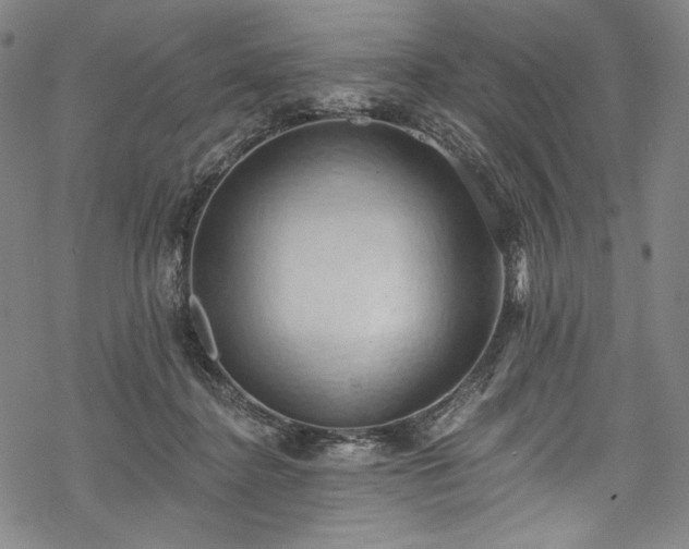 X0000068740364200605051457