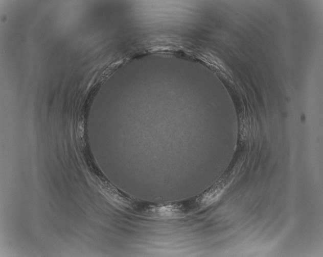 X0000068740365200605051457