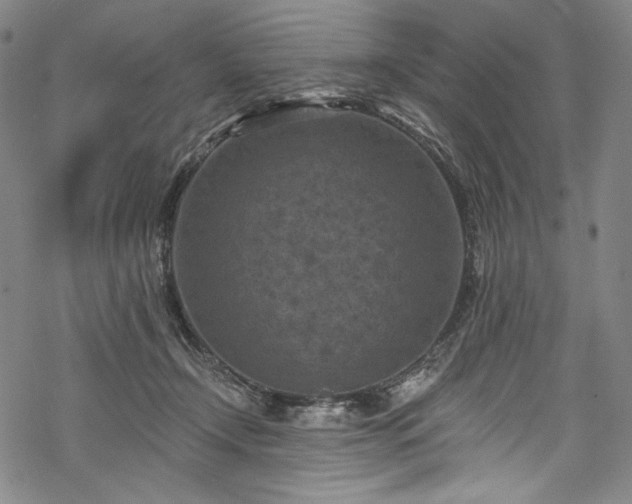 X0000068740366200605051457