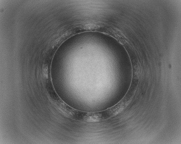 X0000068740368200605051457