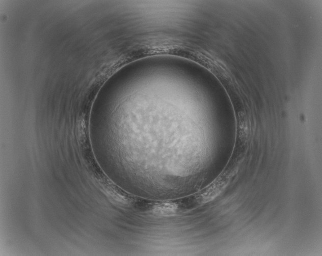 X0000068740369200605051457