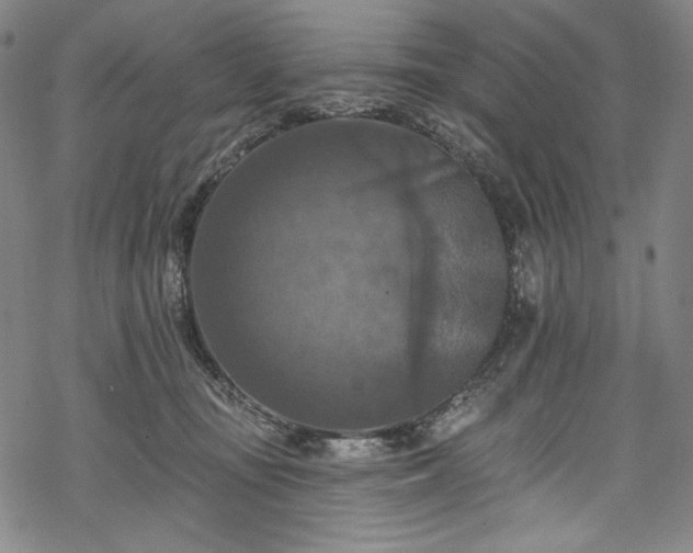 X0000068740371200605051457