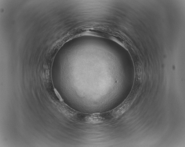 X0000068740372200605051457