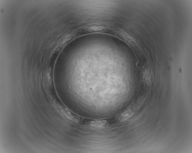 X0000068740373200605051457