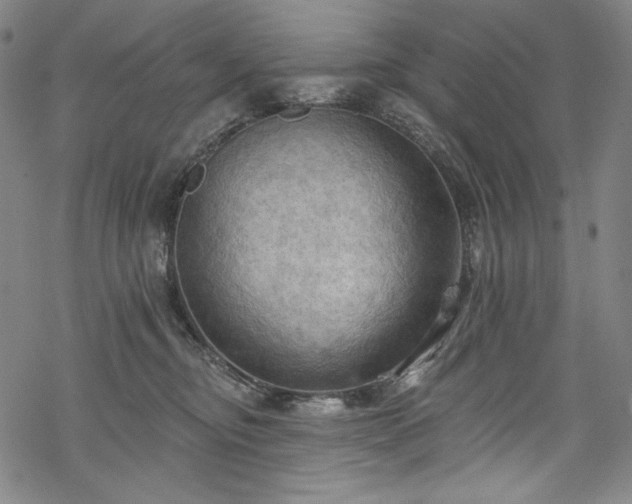 X0000068740374200605051457