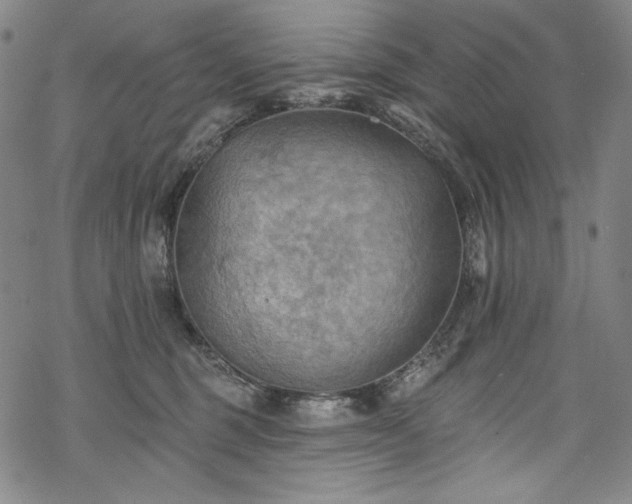 X0000068740375200605051457