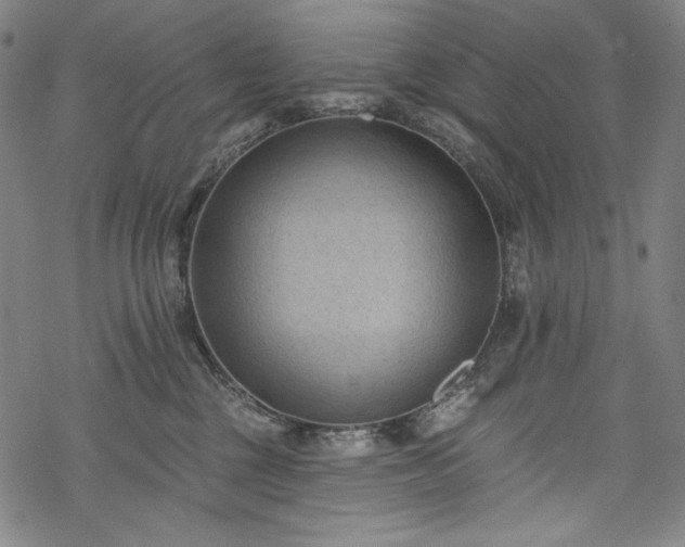 X0000068740377200605051457