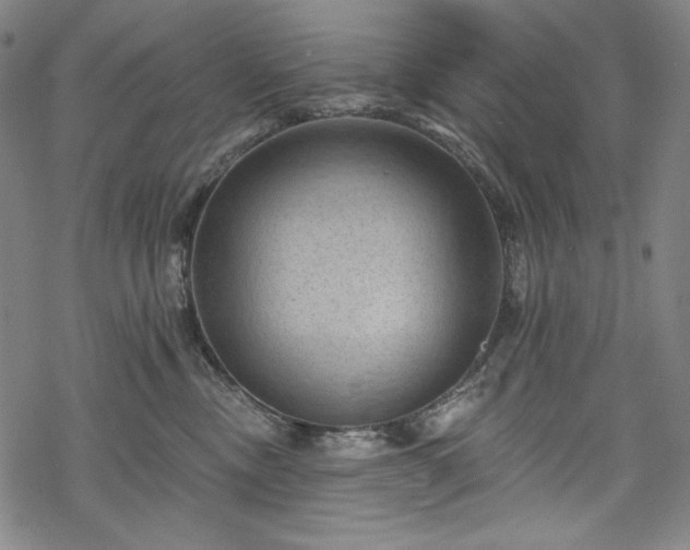 X0000068740378200605051457