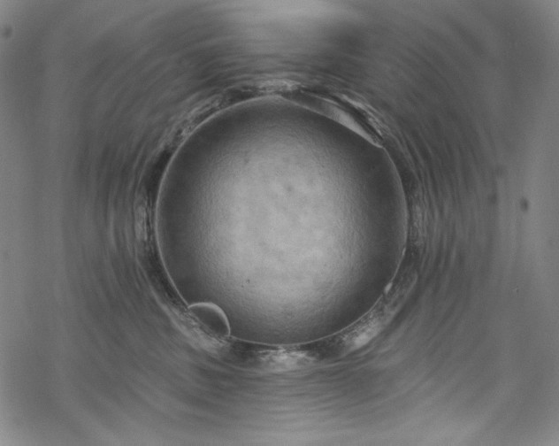 X0000068740379200605051457