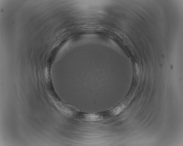 X0000068740380200605051457