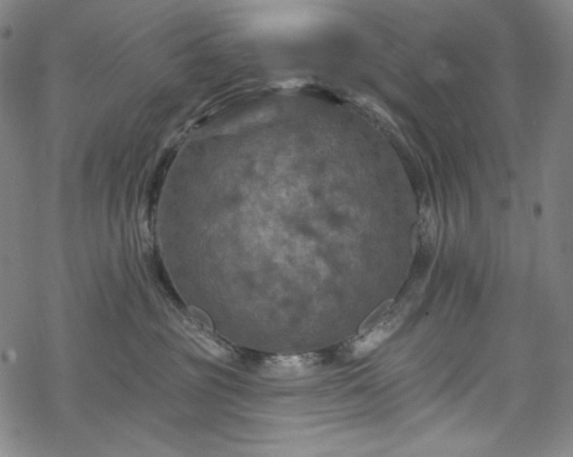 X0000068740381200605051457