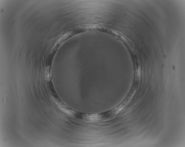 X0000068740383200605051457