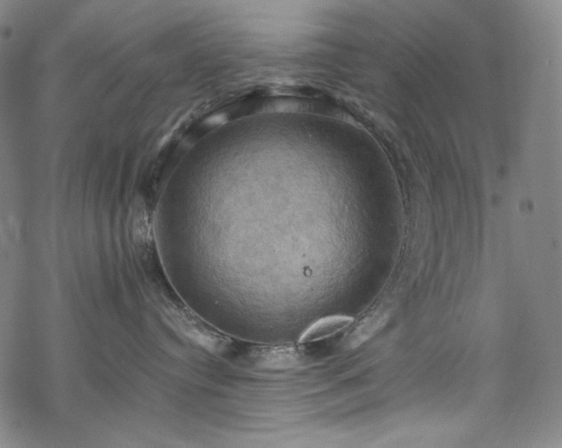 X0000068740384200605051457