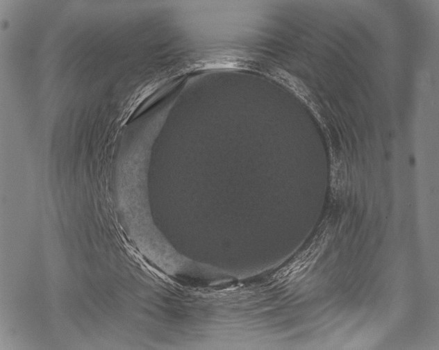 X0000068740385200605051457