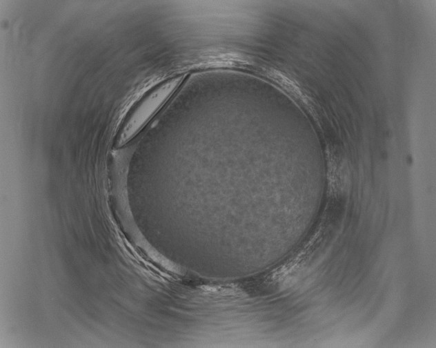 X0000068740386200605051457