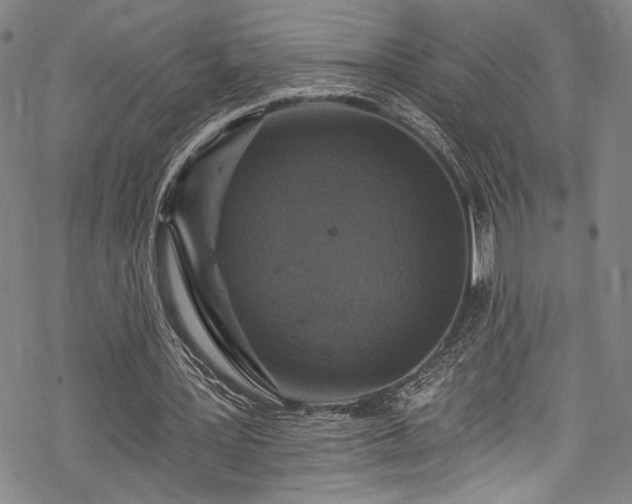 X0000068740387200605051457