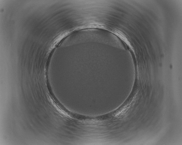 X0000068740389200605051457