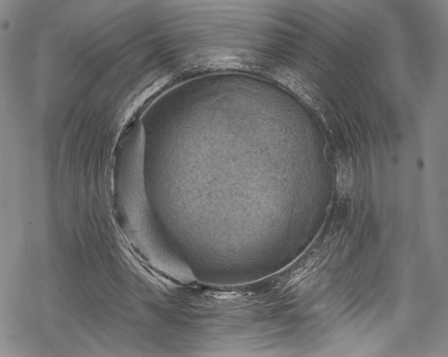 X0000068740390200605051457