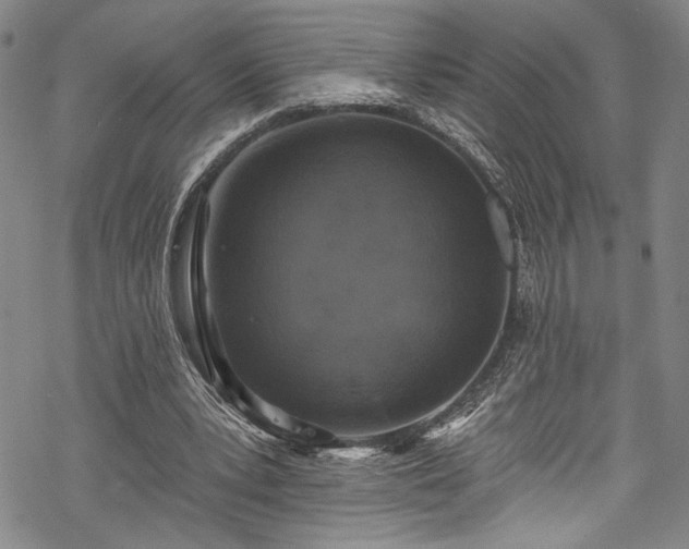 X0000068740391200605051457