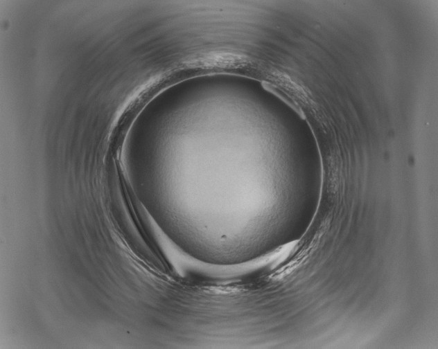 X0000068740392200605051457