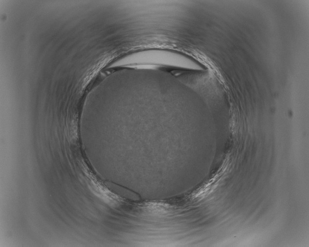 X0000068740393200605051457