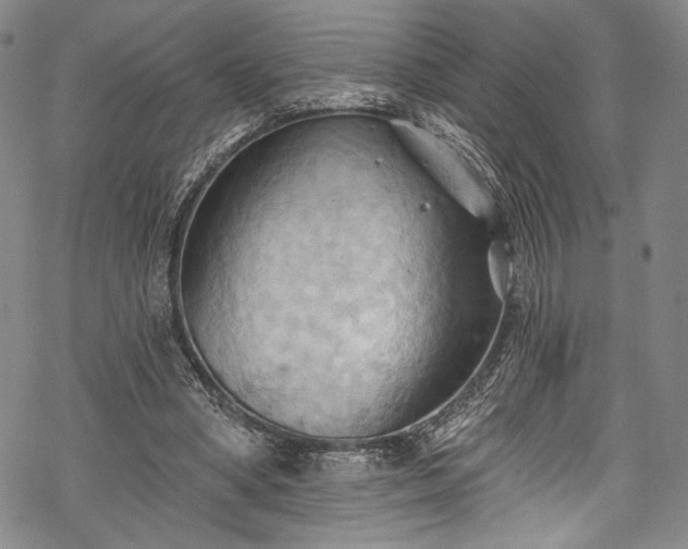 X0000068740394200605051457