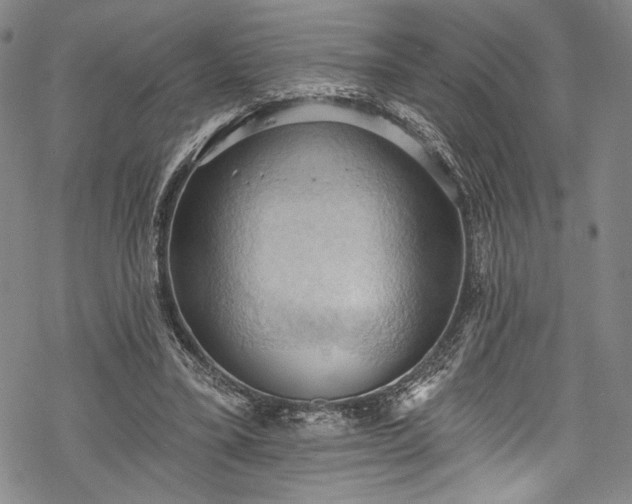 X0000068740395200605051457