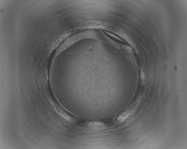 X0000068740397200605051456