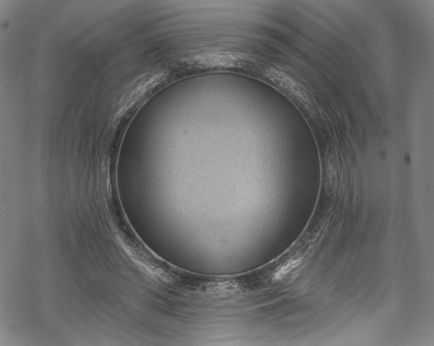 X0000068740398200605051456