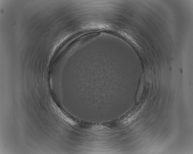 X0000068740399200605051456